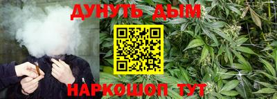 мдпв Пугачёв